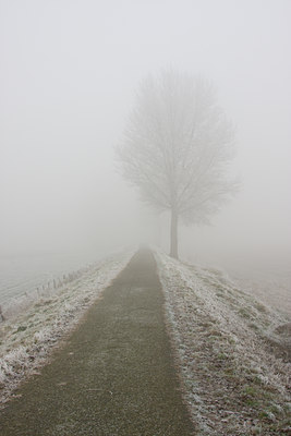 BUITEN BEELD Foto: 22401
