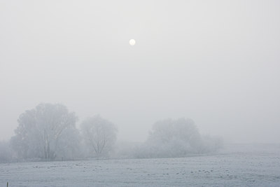 BUITEN BEELD Foto: 22403
