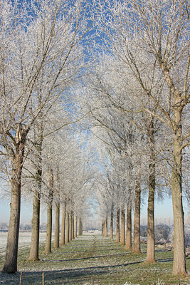 BUITEN BEELD Foto: 22408