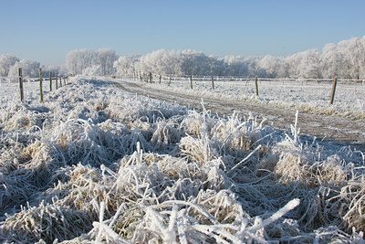 BUITEN BEELD Foto: 22409