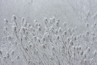 BUITEN BEELD Foto: 22414
