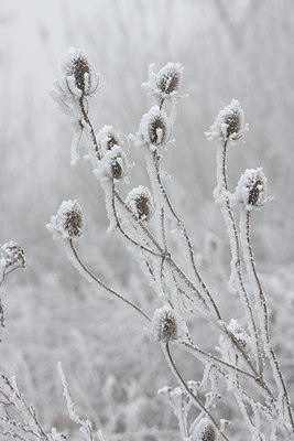 BUITEN BEELD Foto: 22415