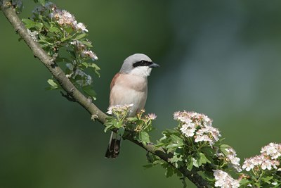 BUITEN BEELD Foto: 22421