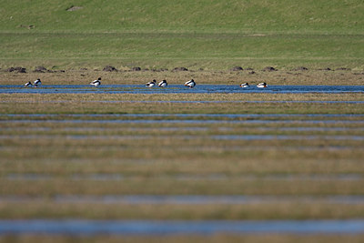 BUITEN BEELD Foto: 22423