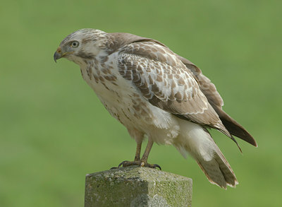 BUITEN BEELD Foto: 22424