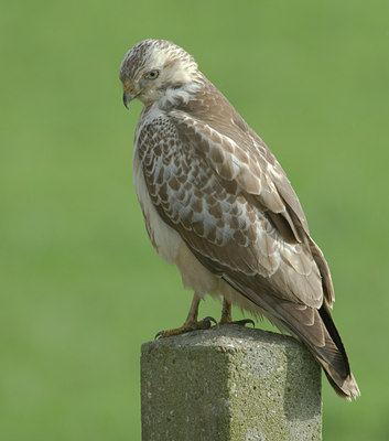 BUITEN BEELD Foto: 22425