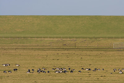 BUITEN BEELD Foto: 22432