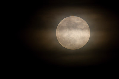 BUITEN BEELD Foto: 22476
