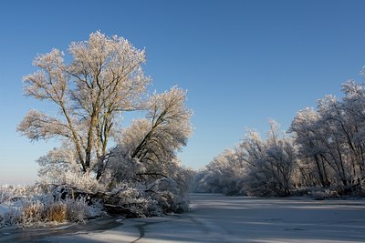 BUITEN BEELD Foto: 22540