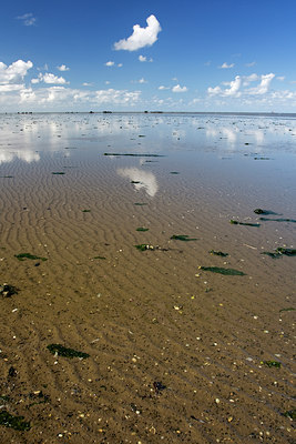 BUITEN BEELD Foto: 22565