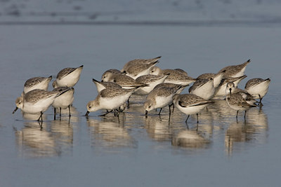 BUITEN BEELD Foto: 22598