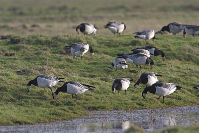 BUITEN BEELD Foto: 22762