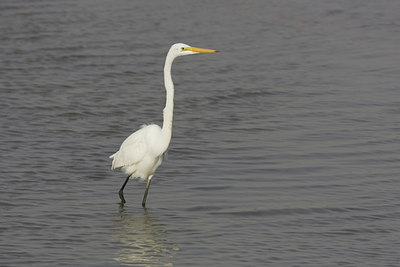BUITEN BEELD Foto: 22776