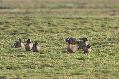 BUITEN BEELD Foto: 22900