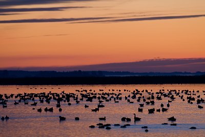 BUITEN BEELD Foto: 22924