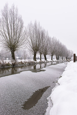 BUITEN BEELD Foto: 229040