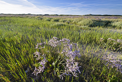 BUITEN BEELD Foto: 229075
