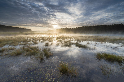 BUITEN BEELD Foto: 229117