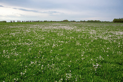BUITEN BEELD Foto: 229133