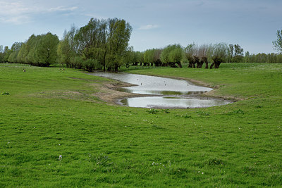 BUITEN BEELD Foto: 229137
