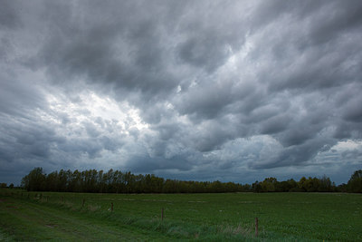 BUITEN BEELD Foto: 229145