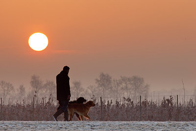 BUITEN BEELD Foto: 229196