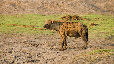 BUITEN BEELD Foto: 229263