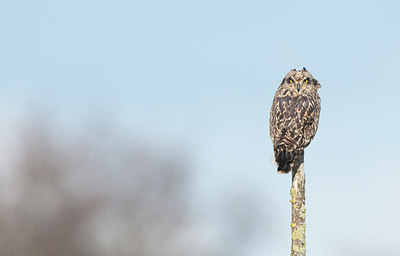 BUITEN BEELD Foto: 229336