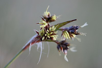 BUITEN BEELD Foto: 229342