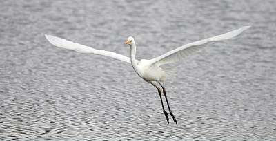 BUITEN BEELD Foto: 229385