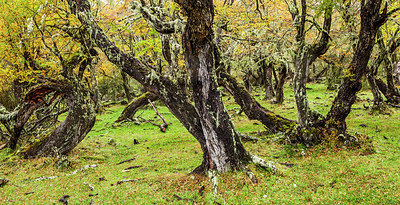 BUITEN BEELD Foto: 229518