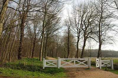 BUITEN BEELD Foto: 229539