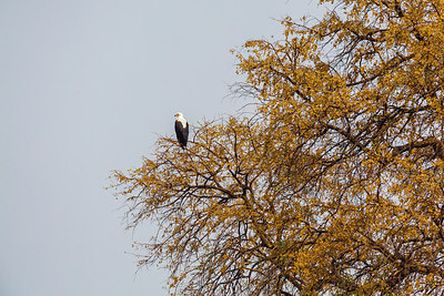 BUITEN BEELD Foto: 229593