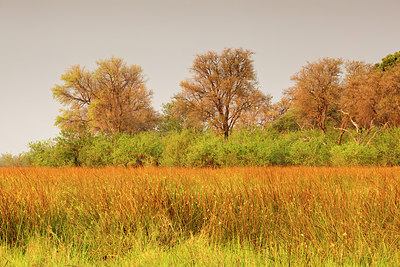 BUITEN BEELD Foto: 229596