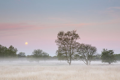 BUITEN BEELD Foto: 229614