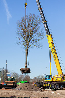 BUITEN BEELD Foto: 229703