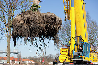 BUITEN BEELD Foto: 229705