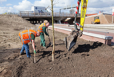 BUITEN BEELD Foto: 229709