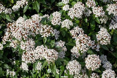 BUITEN BEELD Foto: 229761