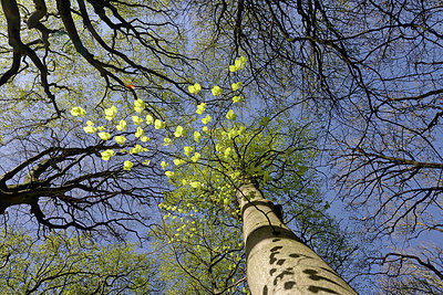 BUITEN BEELD Foto: 229995
