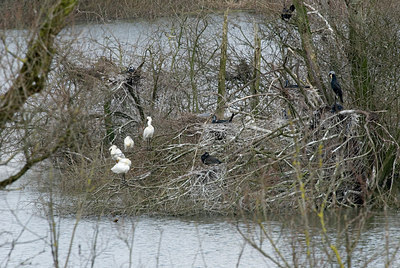 BUITEN BEELD Foto: 230016