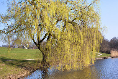 BUITEN BEELD Foto: 230078