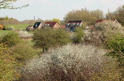 BUITEN BEELD Foto: 230111