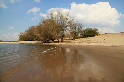 BUITEN BEELD Foto: 230112