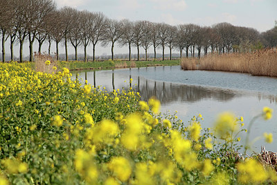 BUITEN BEELD Foto: 230117