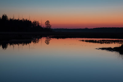 BUITEN BEELD Foto: 230273