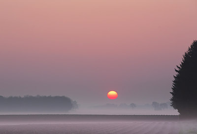 BUITEN BEELD Foto: 230276