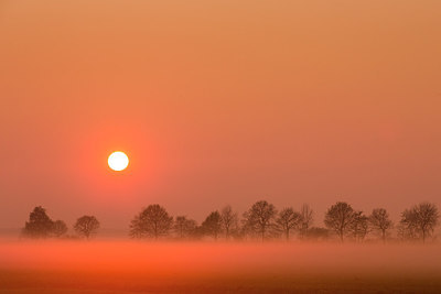 BUITEN BEELD Foto: 230277