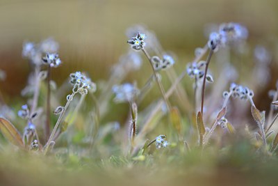 BUITEN BEELD Foto: 230362