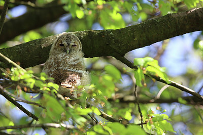 BUITEN BEELD Foto: 230389